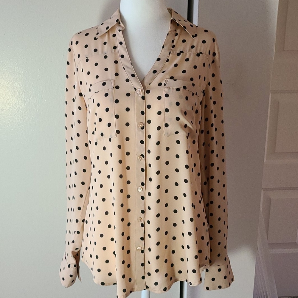 Express Button Down Blouse